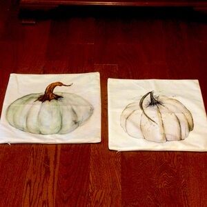 White Pumpkin Pillow Covers